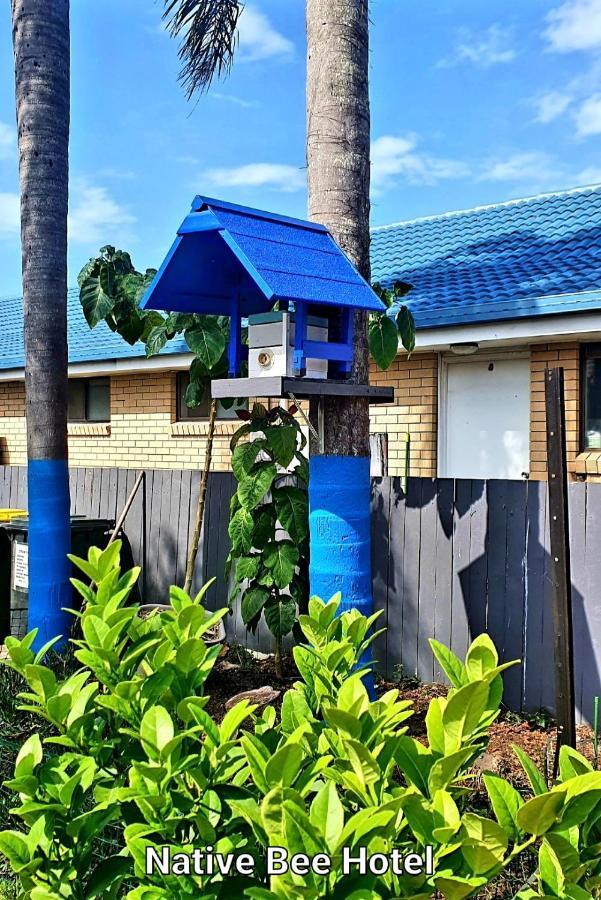 City Lights Motel Tweed Heads Εξωτερικό φωτογραφία